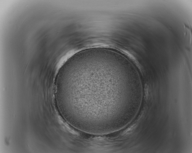 X0000103251373200809041059