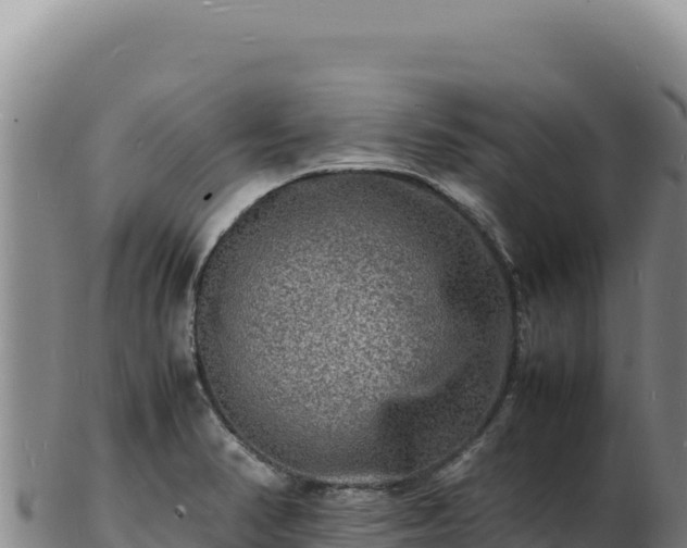 X0000103251374200809041059
