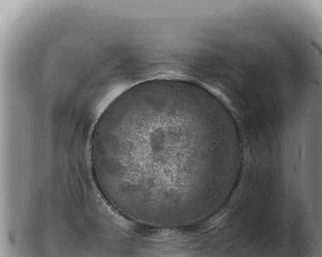 X0000103251375200809041059
