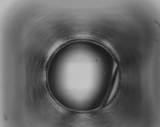 X0000103251376200809041059