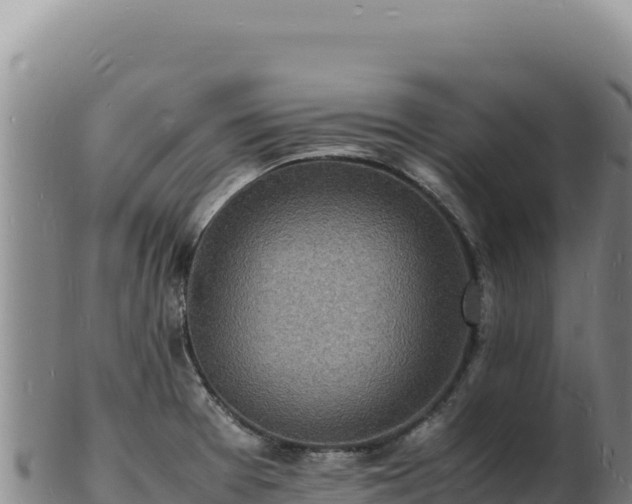X0000103251377200809041059
