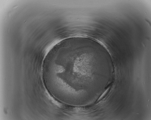 X0000103251379200809041059