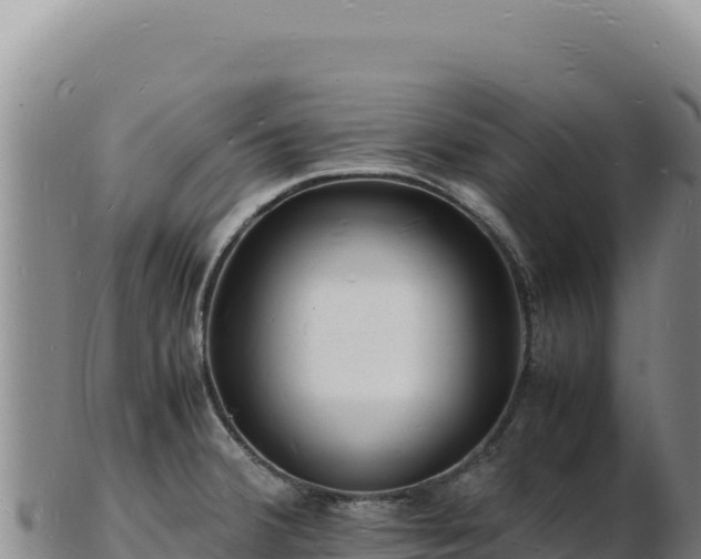 X0000103251380200809041059