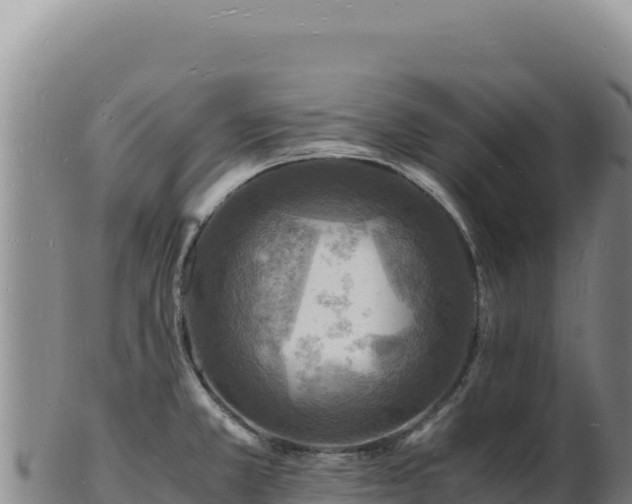 X0000103251381200809041059