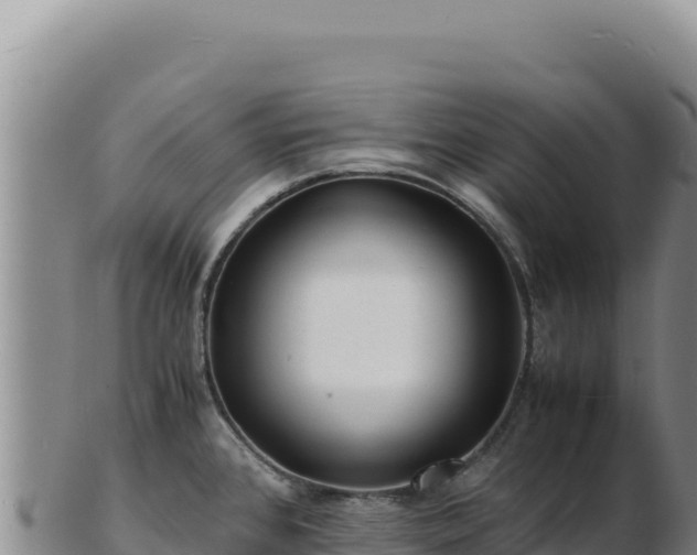 X0000103251384200809041059