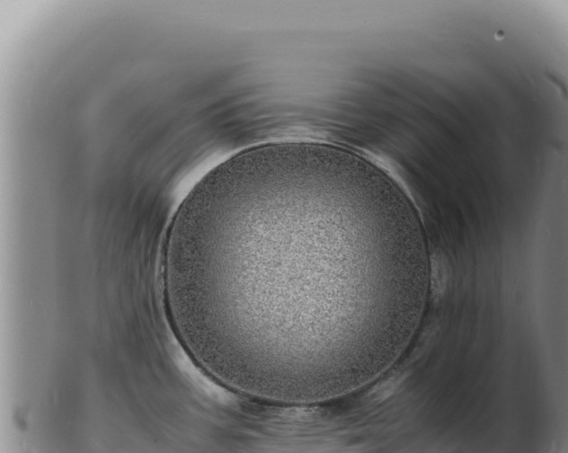 X0000103251387200809041059