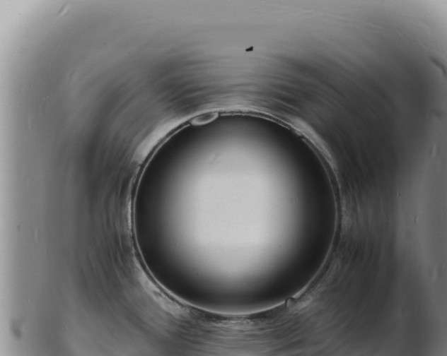 X0000103251388200809041059