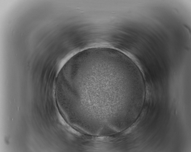 X0000103251390200809041059