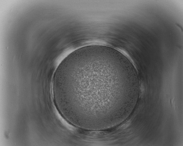 X0000103251391200809041059