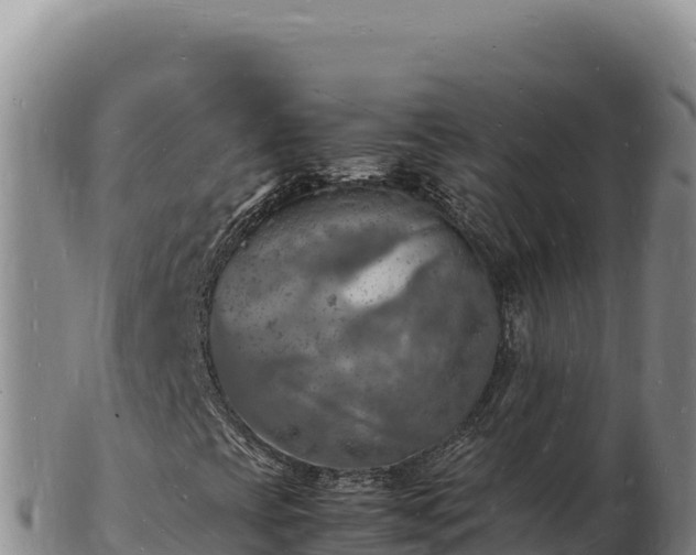 X0000103251393200809041059