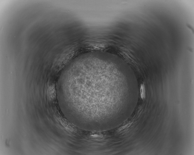 X0000103251395200809041059