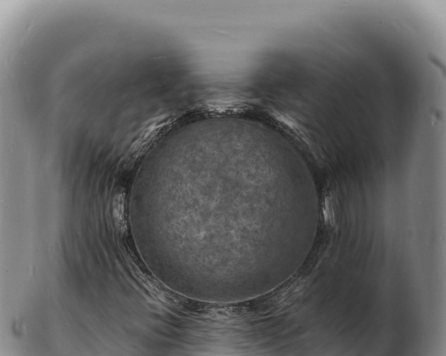 X0000103251396200809041059