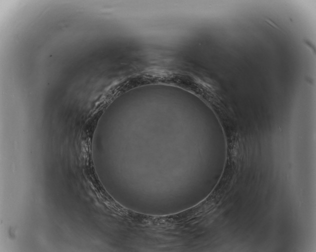 X0000103251397200809041059