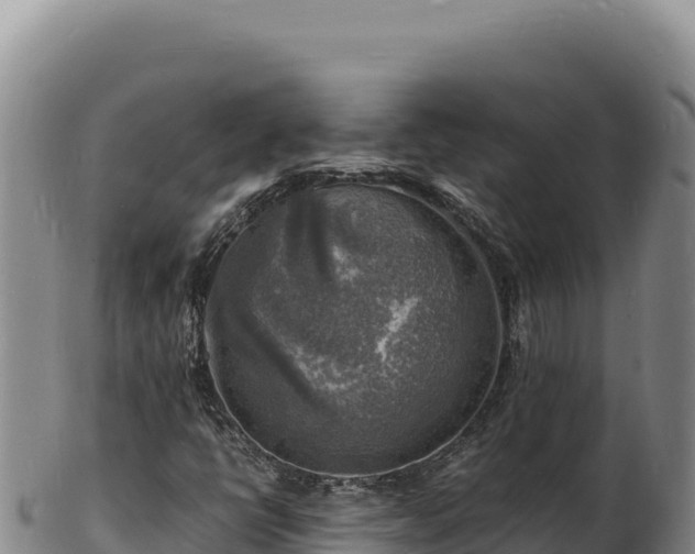 X0000103251398200809041059