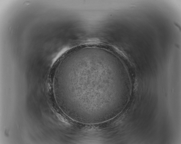 X0000103251400200809041059