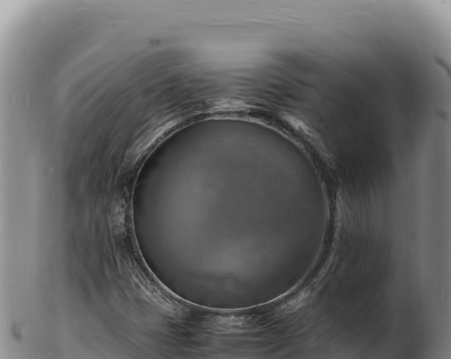 X0000103251401200809041059