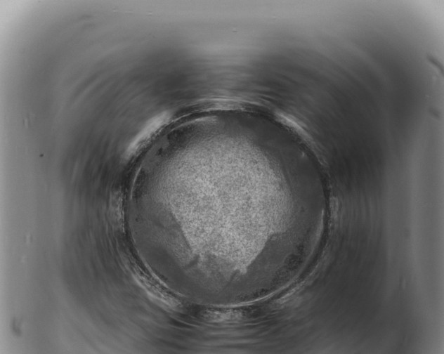 X0000103251403200809041059