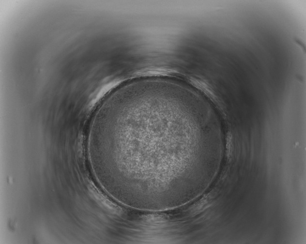 X0000103251404200809041059