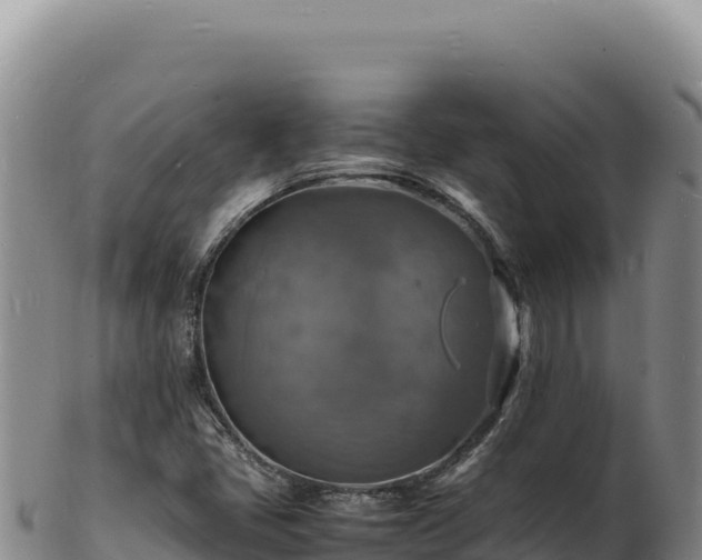 X0000103251405200809041059