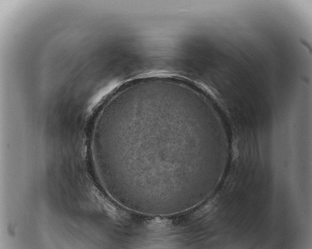 X0000103251406200809041059