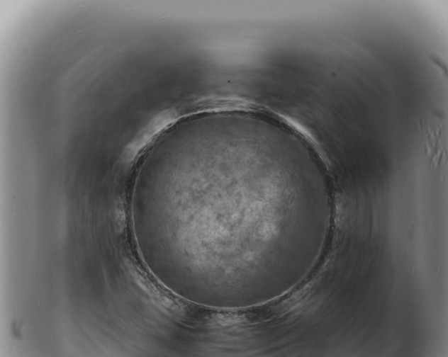 X0000103251407200809041059