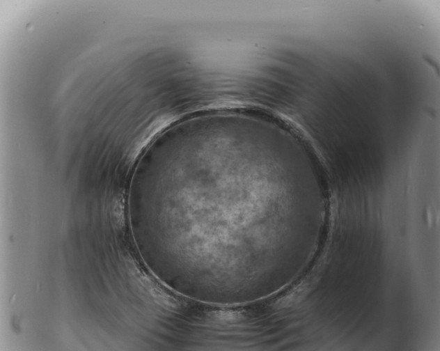 X0000103251409200809041059