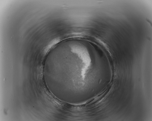 X0000103251411200809041059