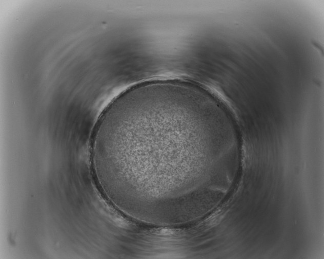 X0000103251412200809041059