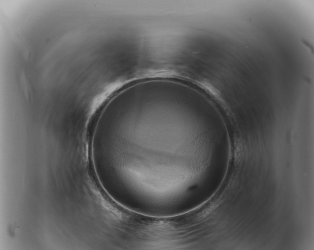 X0000103251414200809041059