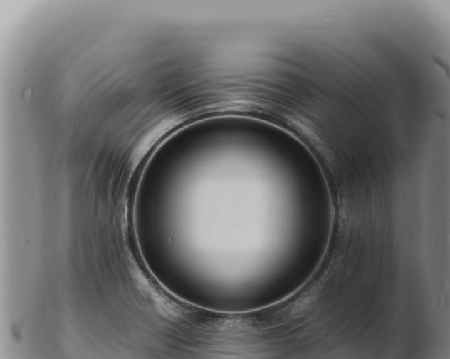 X0000103251418200809041059