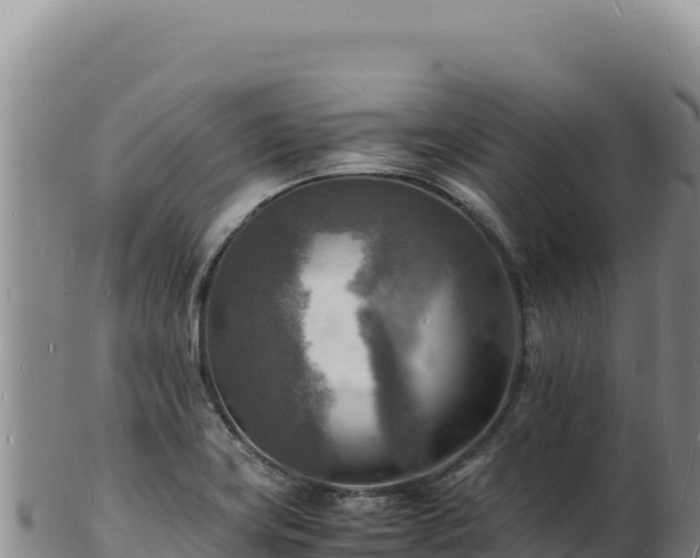 X0000103251419200809041059