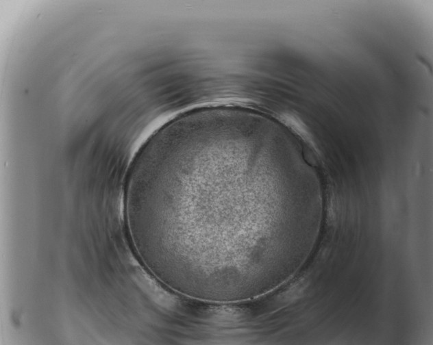 X0000103251420200809041059