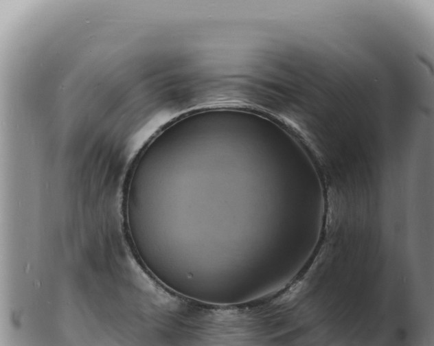 X0000103251422200809041059