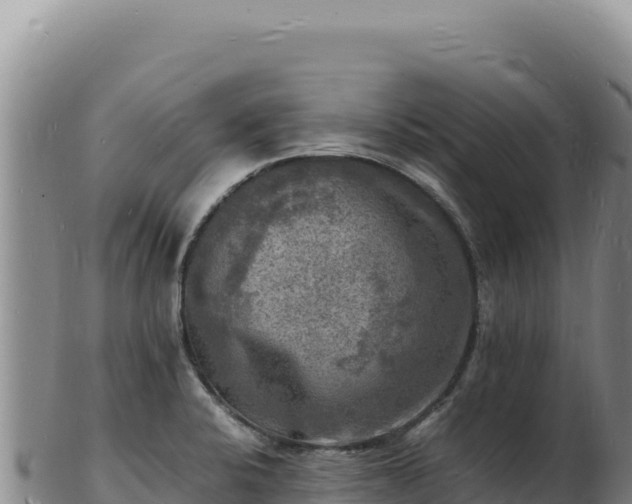 X0000103251424200809041059