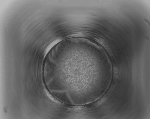 X0000103251426200809041059
