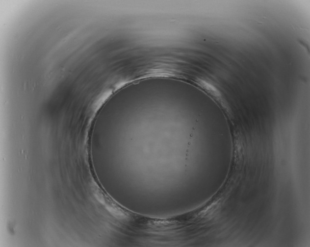 X0000103251427200809041059