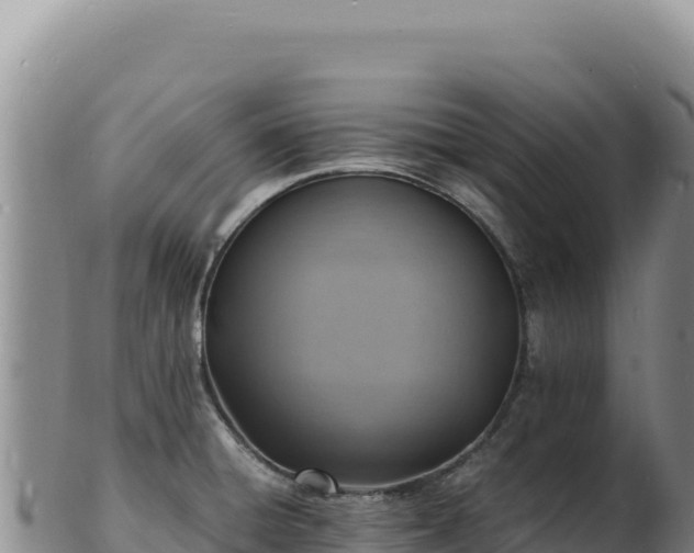 X0000103251428200809041059