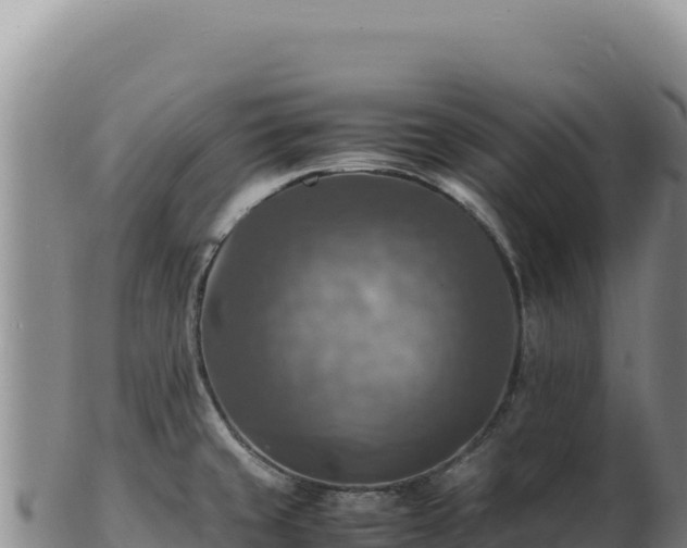 X0000103251429200809041059