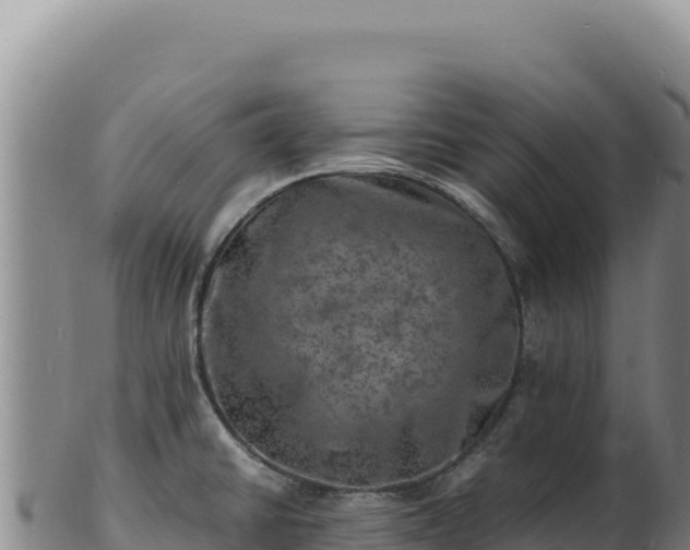 X0000103251430200809041059