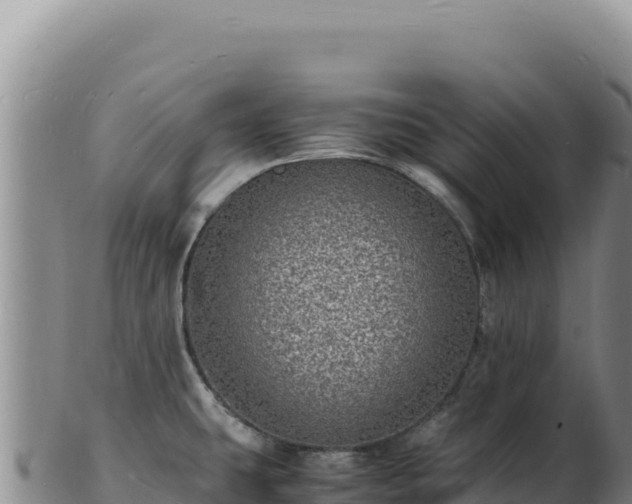 X0000103251431200809041059