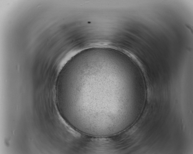 X0000103251432200809041059