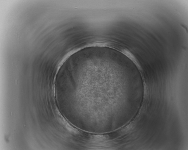 X0000103251436200809041059