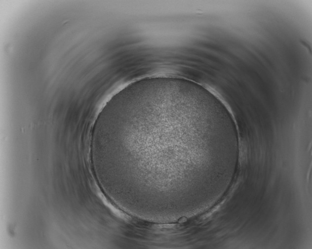 X0000103251437200809041059