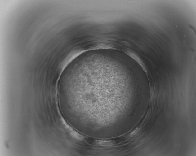 X0000103251439200809041059