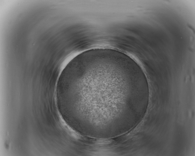X0000103251440200809041059