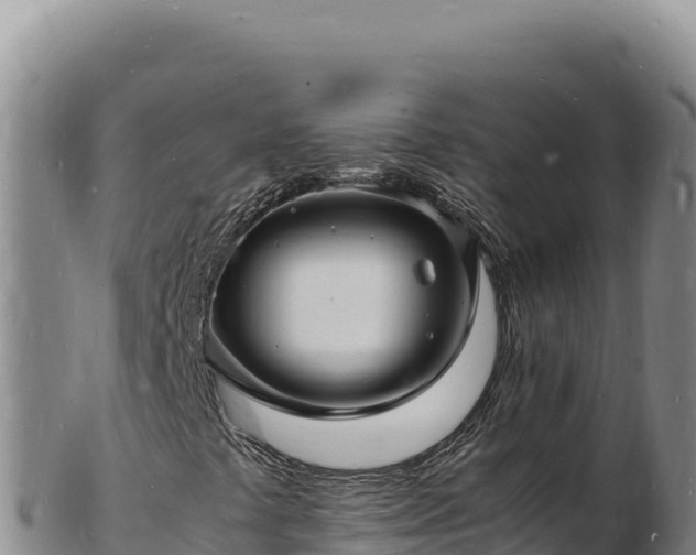X0000103251441200809041059