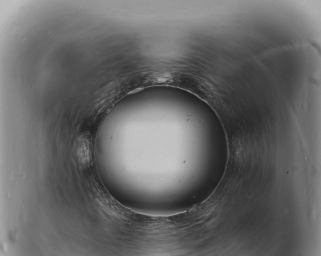 X0000103251442200809041059