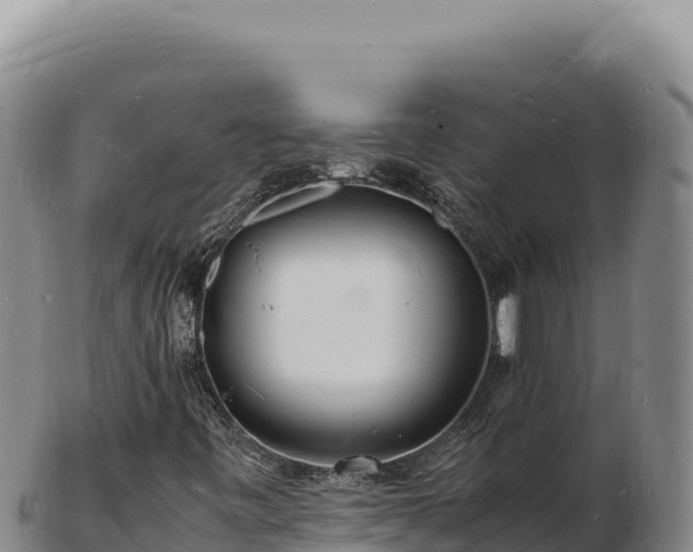 X0000103251443200809041058