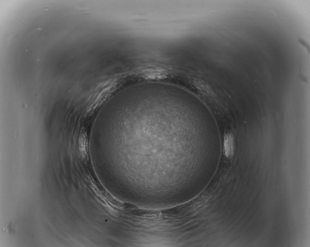 X0000103251444200809041058