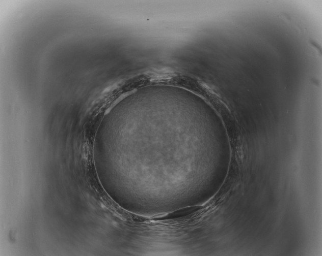 X0000103251445200809041058